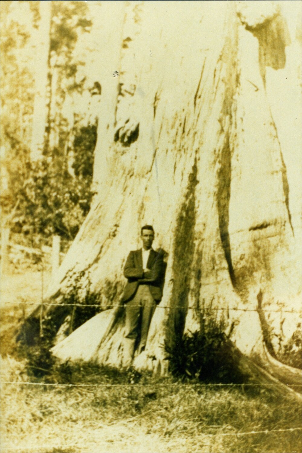 Bill Francis,  'Lone Pine,' Moran Group Settlement, Kin Kin