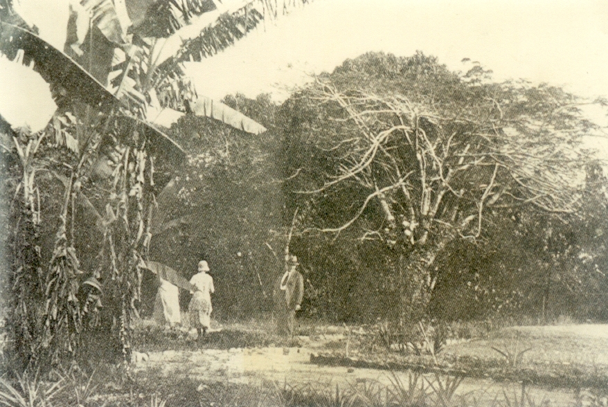 Galloway Family, Cootharaba, 1931