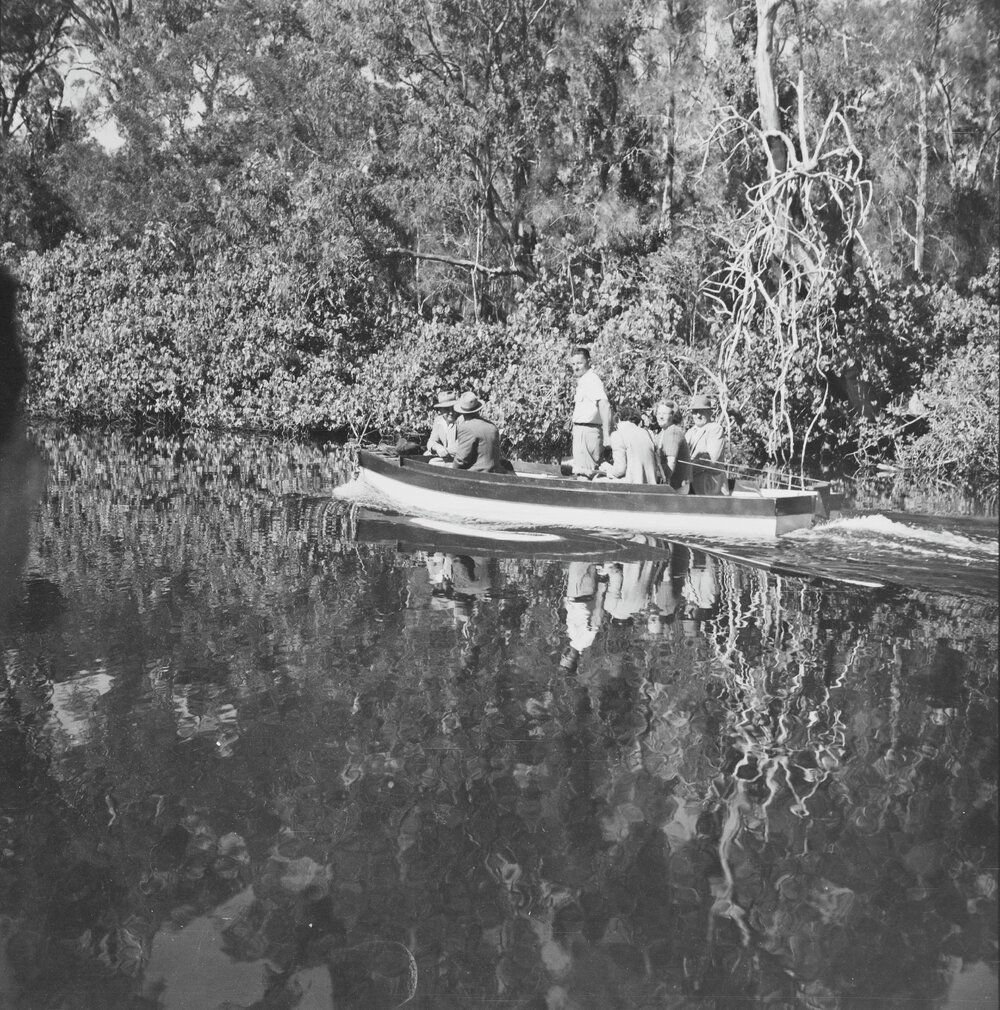 Boating party,  Noosa Everglades, Noosa River, 1951