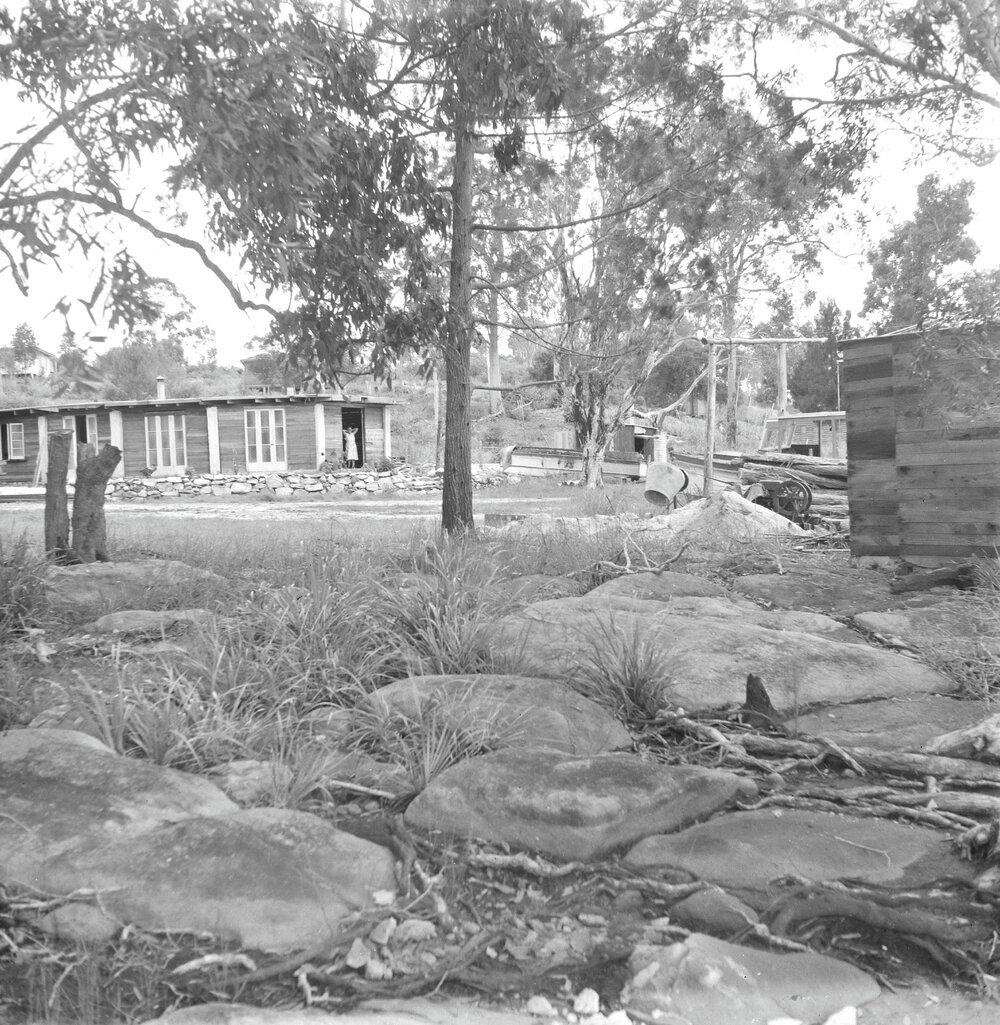 Dwellings, Lake Cootharaba, Boreen Point, 1953