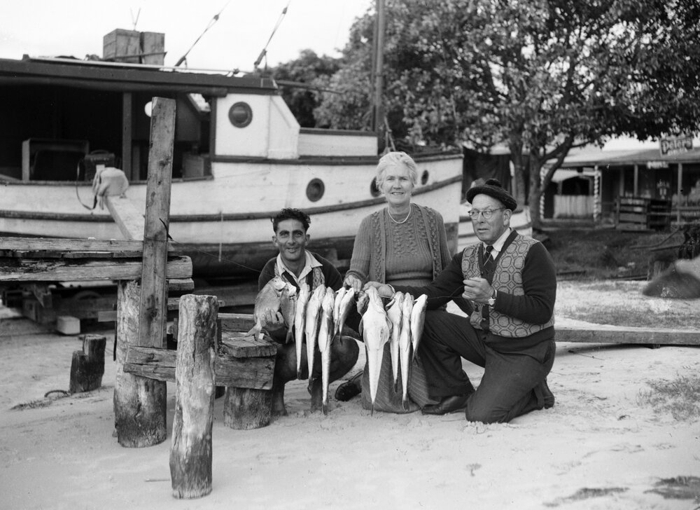 Large catch, Massoud family, Noosaville, June 1948