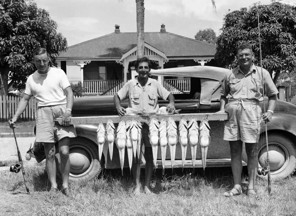 Large catch, Ivan Massoud (centre) and friends, Noosaville, 1949