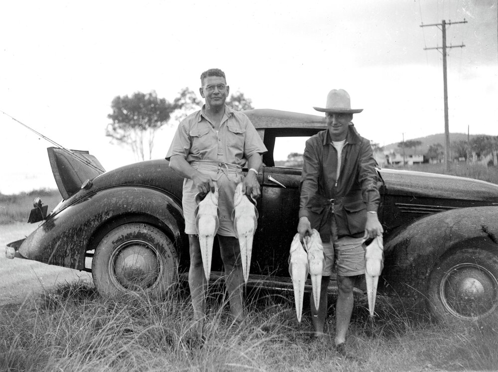 Flatheads by the handful, Noosaville, February, 1949