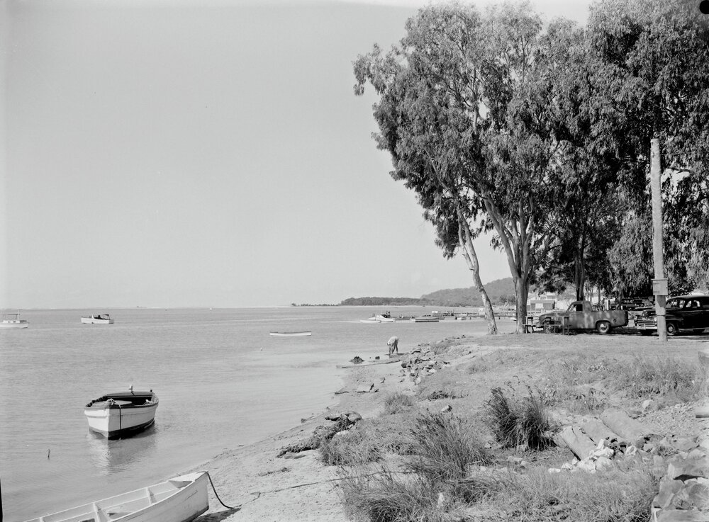 Noosa River views, Noosaville, ca 1950s