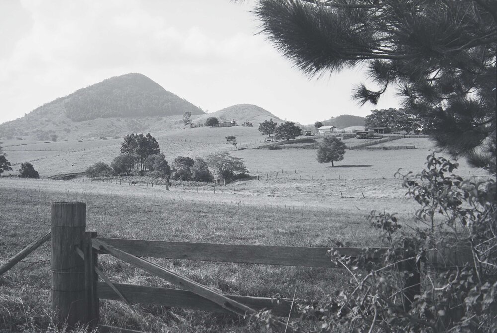 Mountain views towards Mt Pinbarren, Noosa Hinterland, Pinbarren,1966