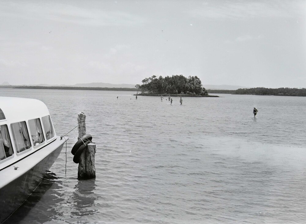 Paddlers and everglades tour boat, Lake Cootharaba, Boreen Point, 1969