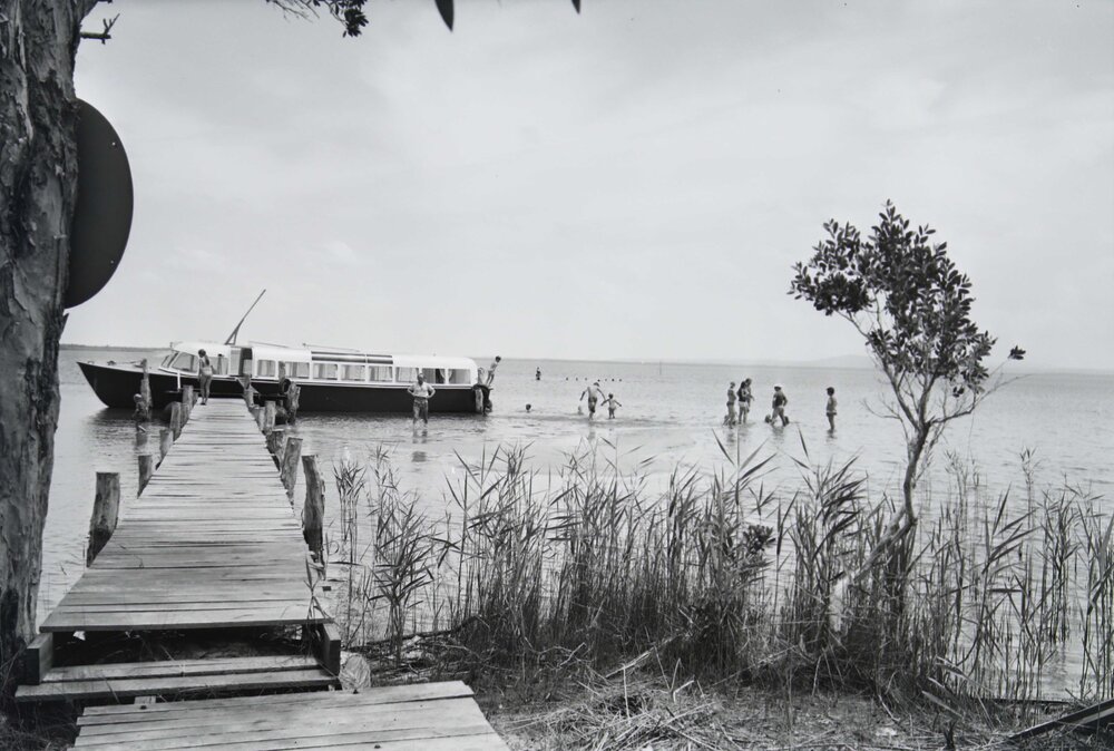 Paddlers and everglades tour boat, Lake Cootharaba, Boreen Point, 1969