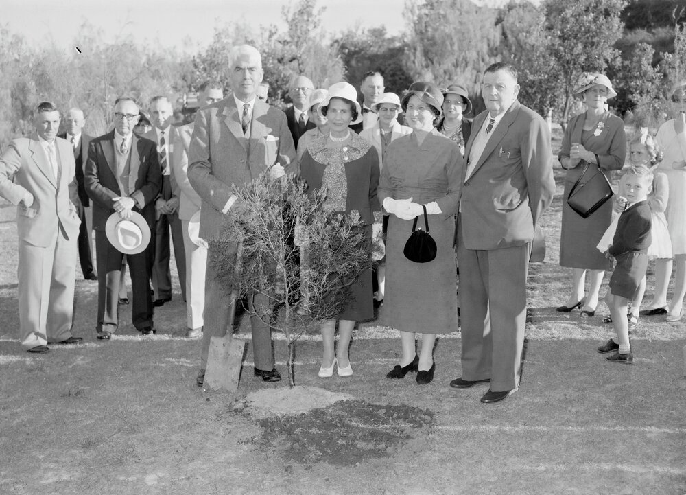 Tree planting ceremony, Their Excellencies the Governor-General and Viscountess Dunrossil with Violet Adams and Noosa Chairman Stan Adams, Sunshine Beach, 1960