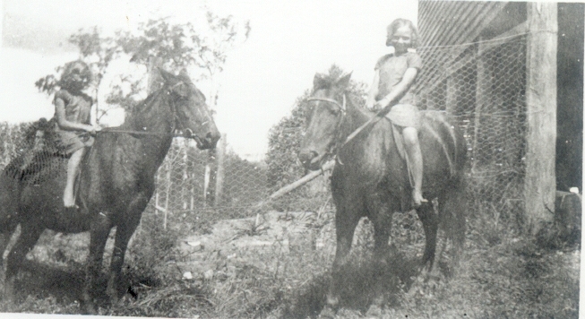 Young horse riders, Cooroy West