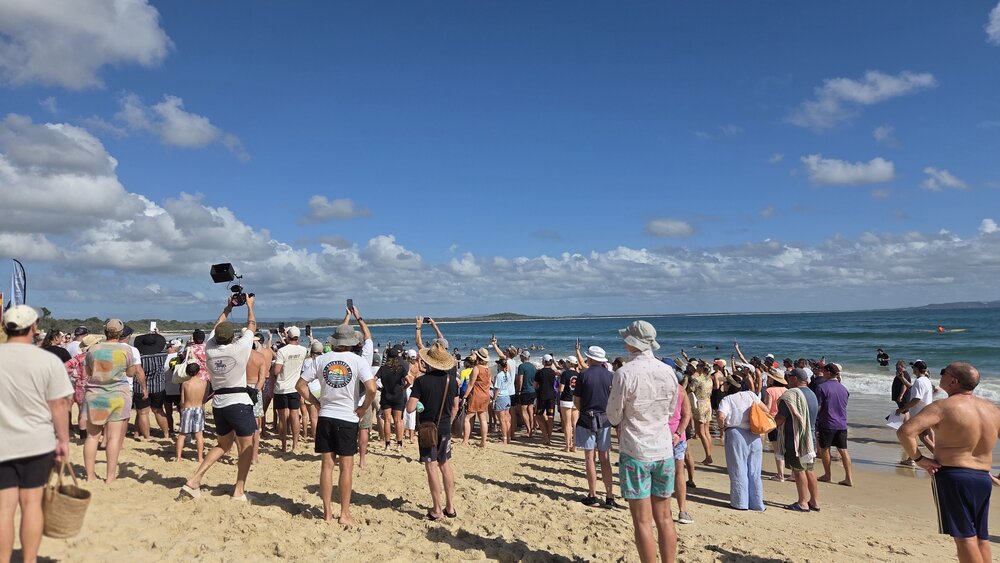 Spectators, Noosa Summer Swim Festival, Noosa Main Beach, Noosa Heads, 22 February 2026