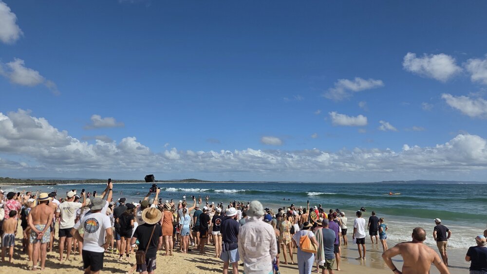 Competitors and spectators, Noosa Summer Swim Festival, Noosa Main Beach, Noosa Heads, 22 February 2026