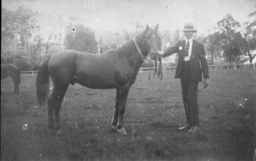 Dave Lane, Noosa Agricultural Show, Pomona