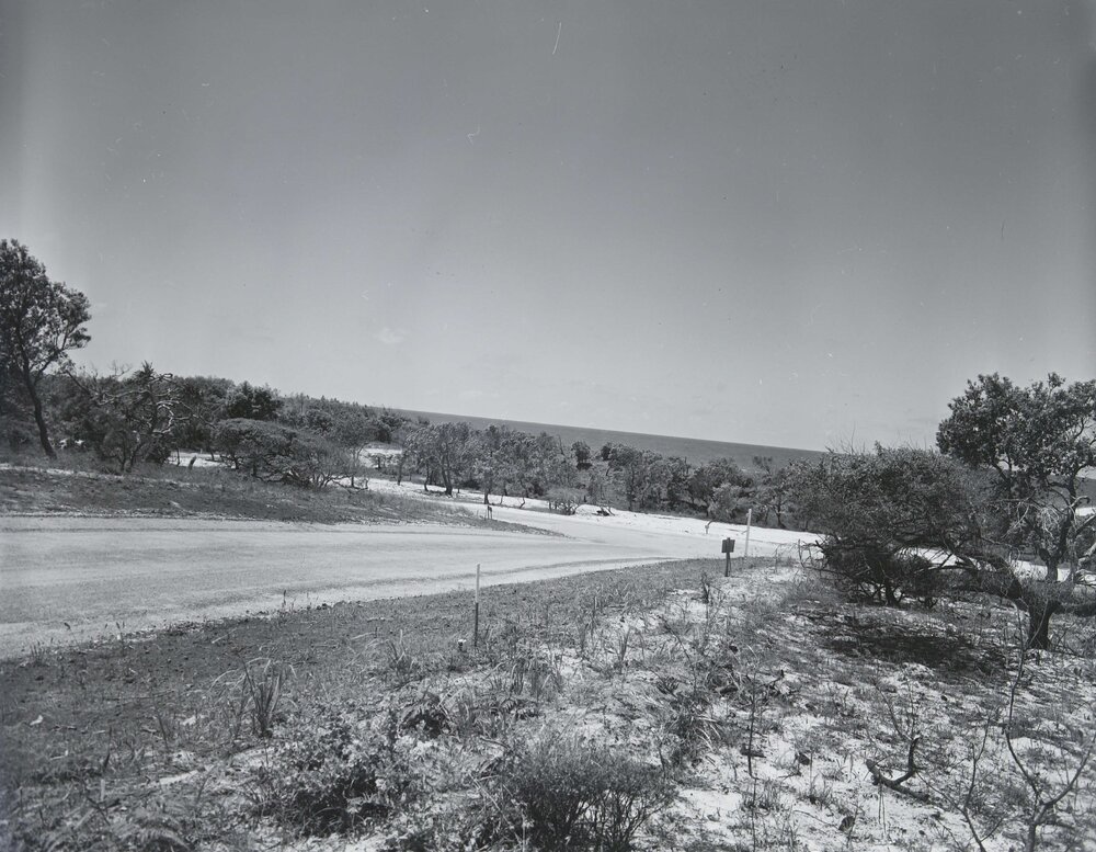 Area views, Peregian Beach area, Peregian Beach, 1965