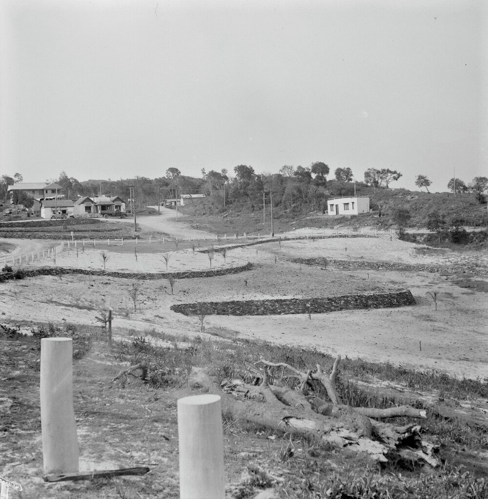 Green Gables Caf&eacute;, Sunshine Beach, 1951