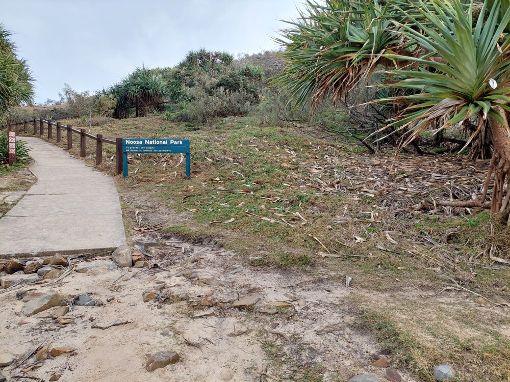 Sinage, Noosa National Park, Sunshine Beach, 6 August 2026