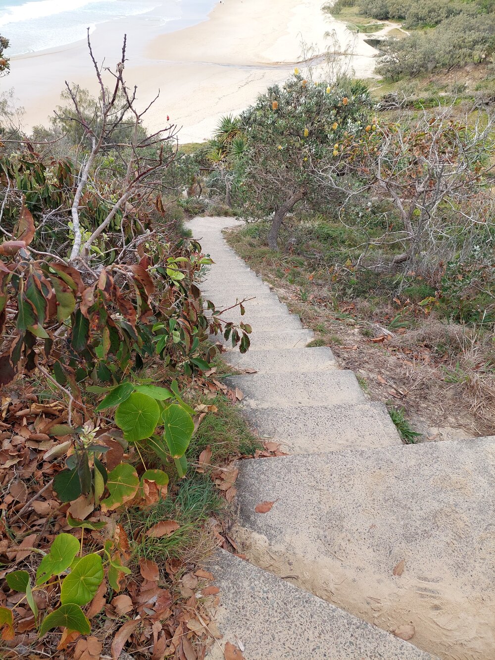 Up and up, Noosa National Park, Sunshine Beach, 6 August 2026