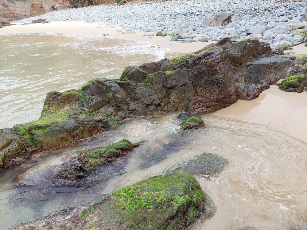 Crab Claw Cove, Noosa National Park, Sunshine Beach, 6 August 2026