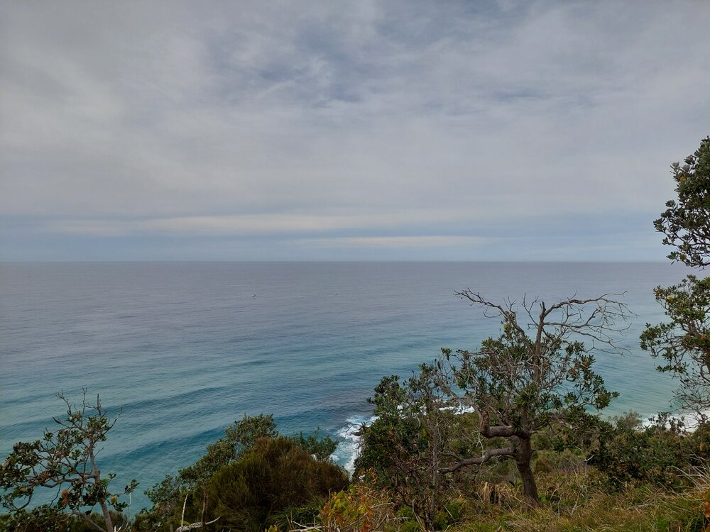 Whale views, Noosa National Park, Sunshine Beach, 6 August 2026