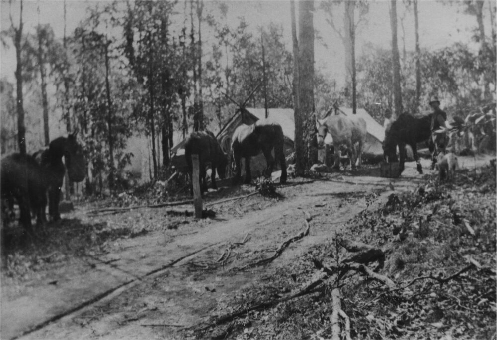  Main Roads Department camp, Pomona, ca 1927