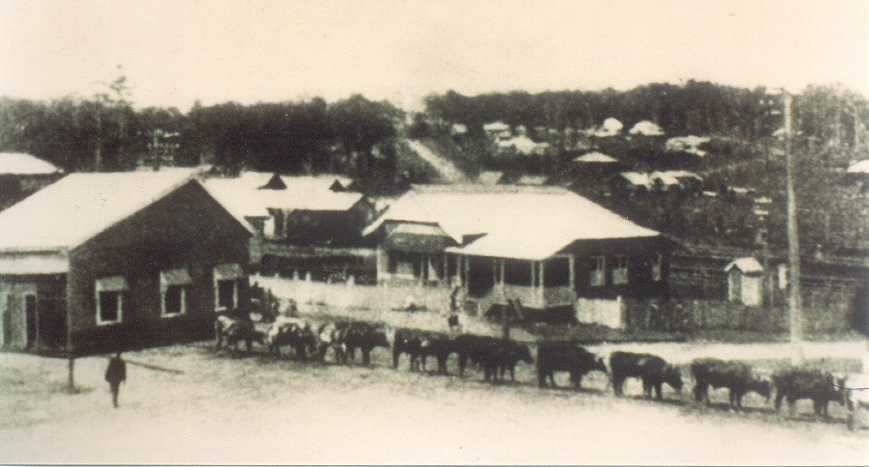 House relocation, Maple Street, Cooroy