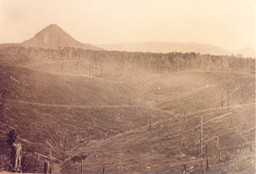 Burn-off, Reuben Ford's farm, Black Mountain, ca 1922
