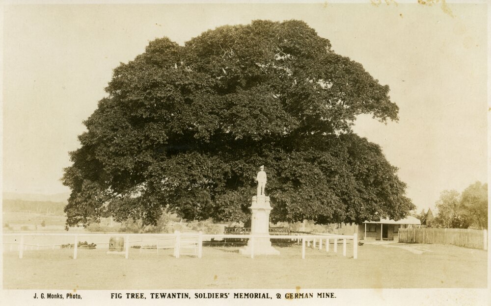 Fig tree, Tewantin, Soldier's Memorial, &amp; German mine
