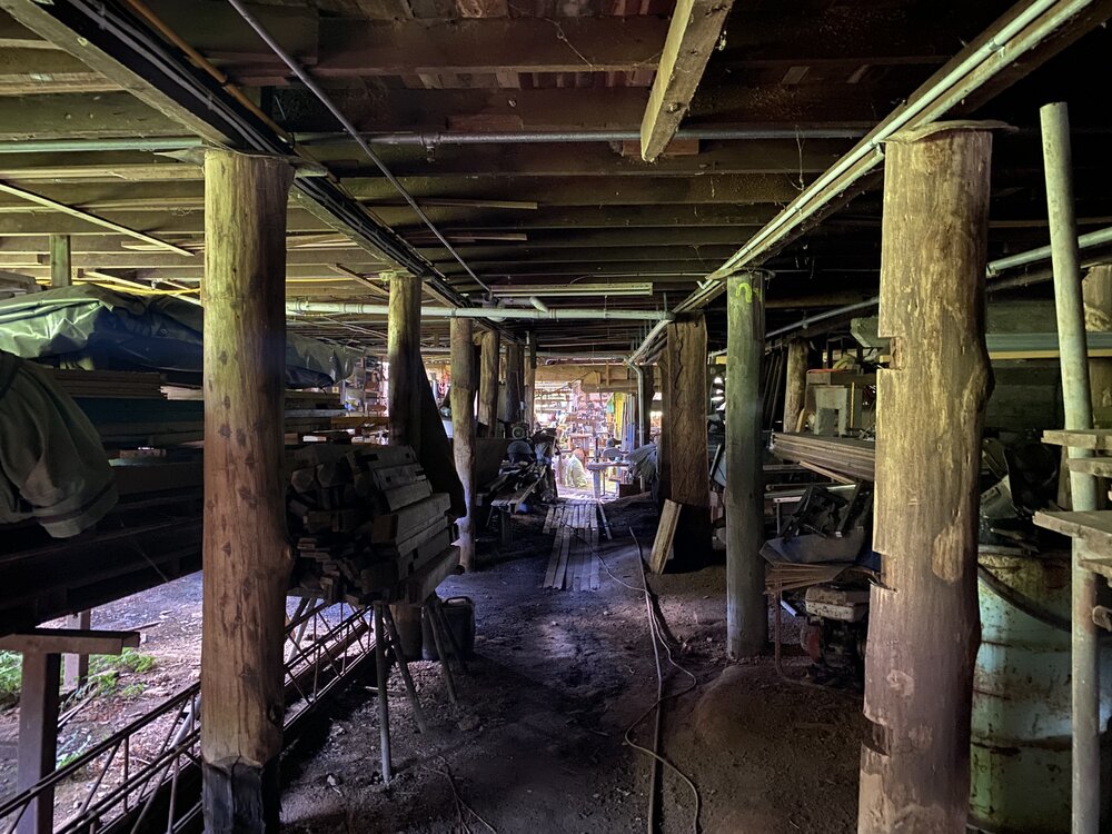 Interior, Alfredson's Joinery, 28 King Street, Cooran, 1 May 2024