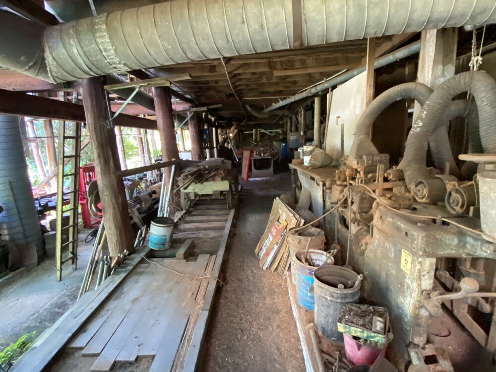 Interior, Alfredson's Joinery, 28 King Street, Cooran, 1 May 2024