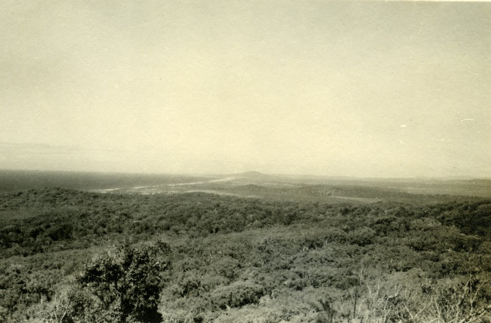 Looking south from Noosa Hill to Coolum Beach, 1952
