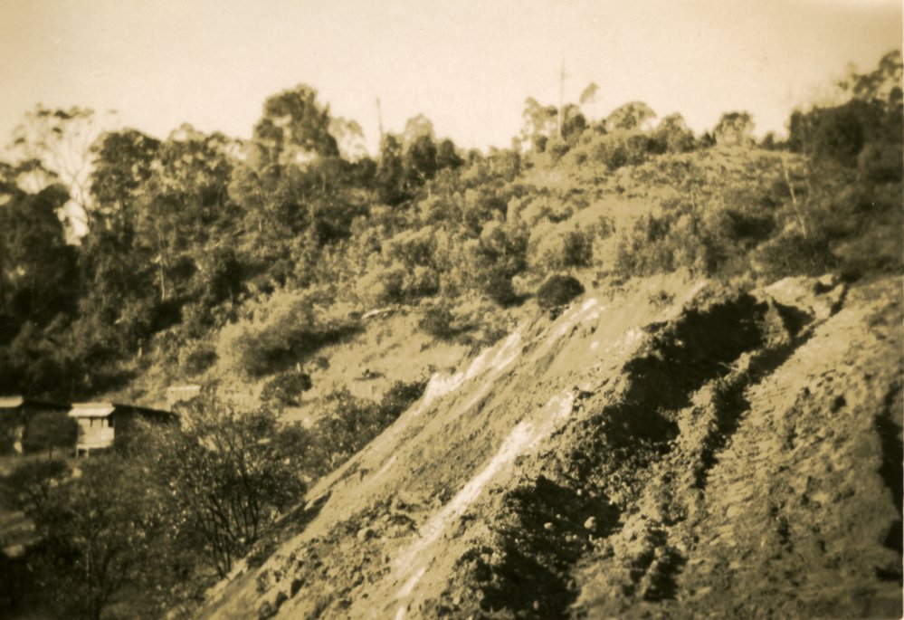 Road construction, Morwong Drive, Noosa Heads, 25 July 1949