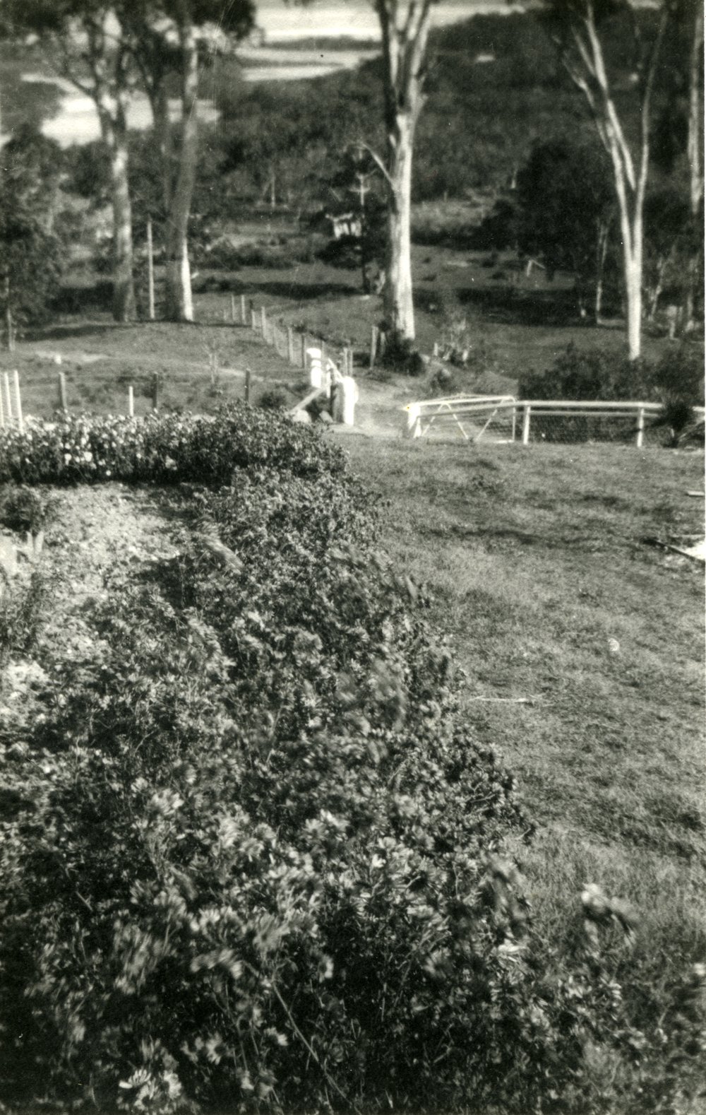 'Noosa Vale', view  down to Noosa Heads, Early 1930's