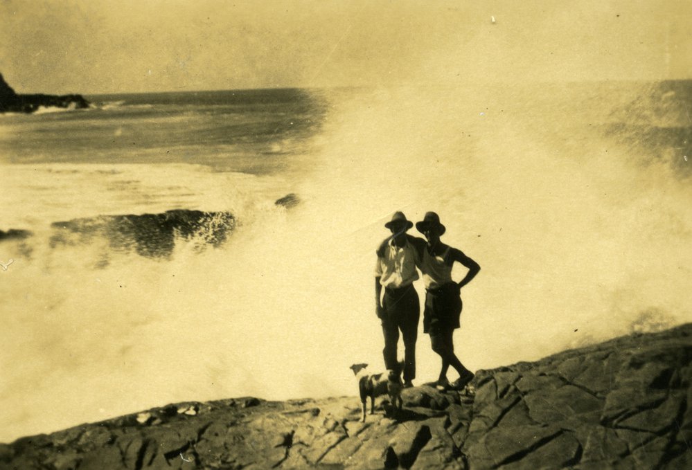 Big Waves, Noosa National Park, Noosa Heads