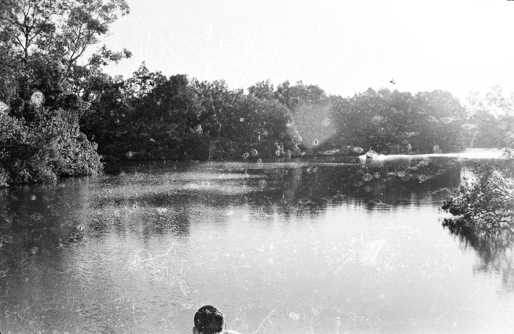 Boating party, Everglades trip, Noosa River, 7 June 1