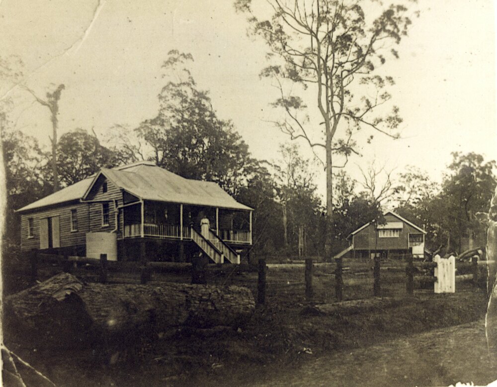 New and old school, possibly Pinbarren