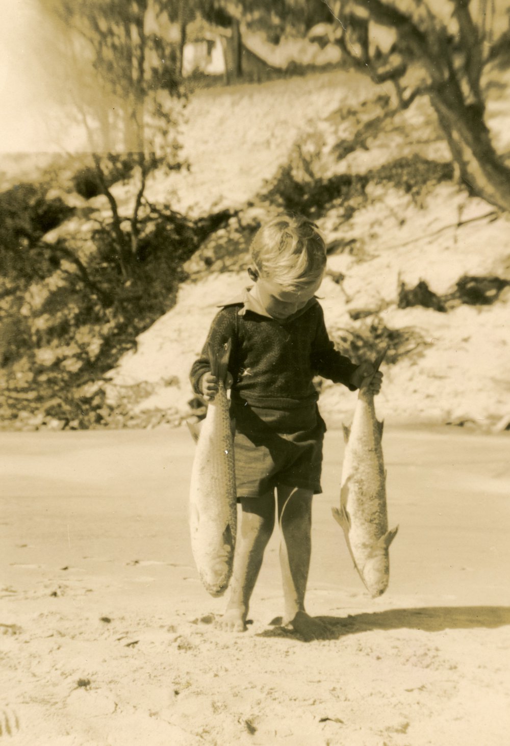 Child with 2 mullet, Little Cove, Noosa Heads, 6 June 1949