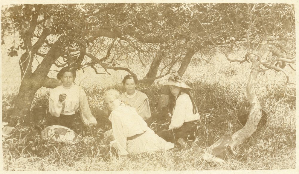 Picnic, Noosa, early 20th century