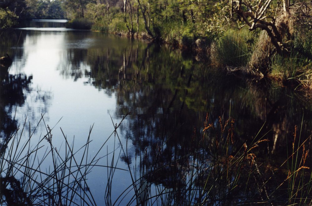 Neebs Waterhole, Cooloola Wilderness Trail, Great Sandy National Park, August 1992