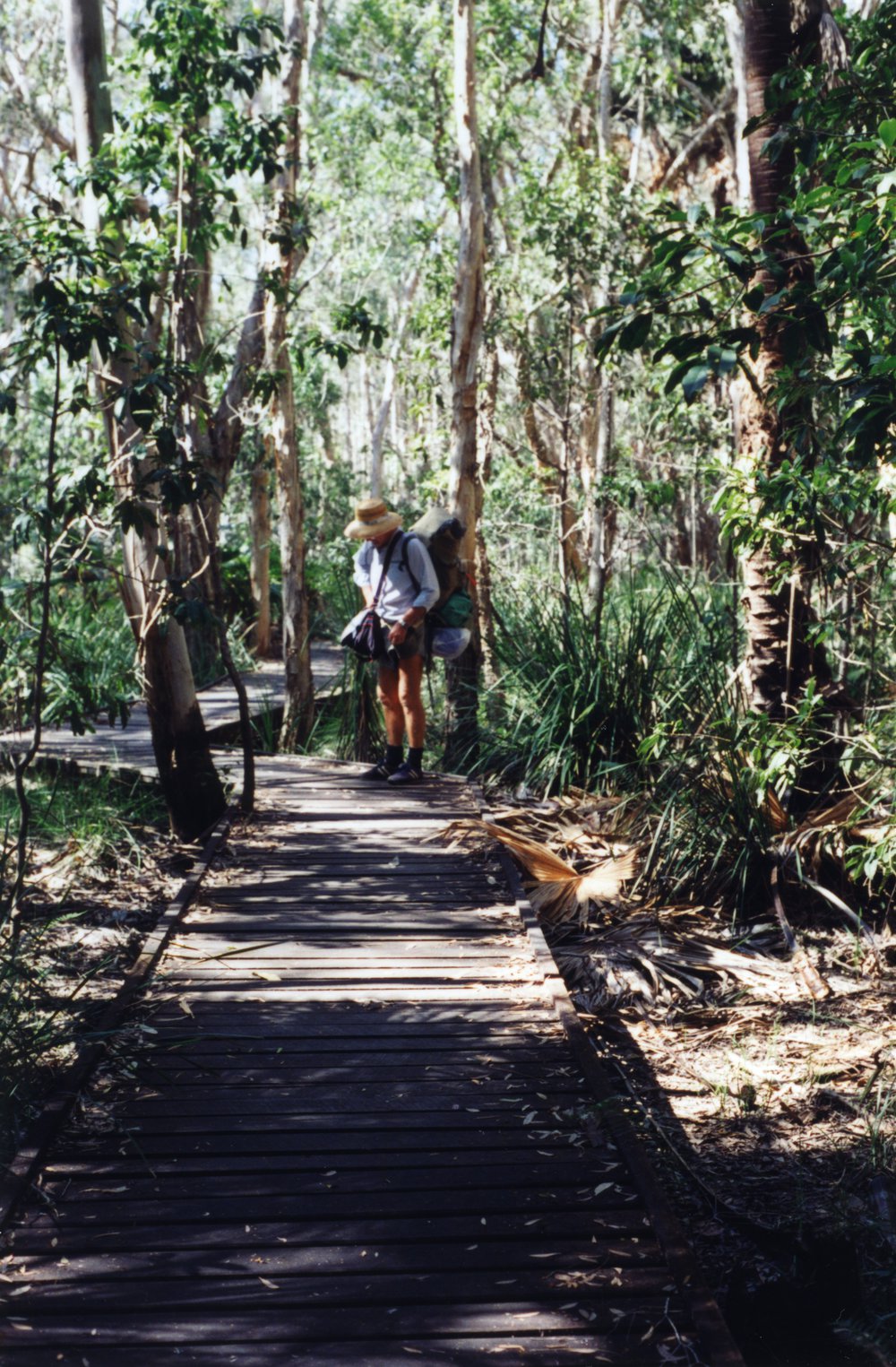 Vic Collins, Cooloola Wilderness Trail, Great Sandy National Park, August 1992