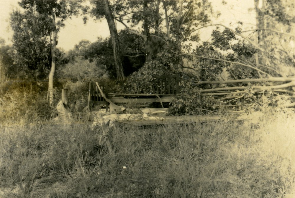 Trees down, 'Pinevale', Bayview Road, Noosa Heads,  after cyclone, 21 February 1954
