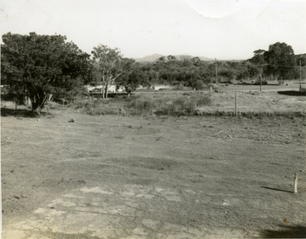 View from Hillcrest Guest House down to the lagoon, Noosa Heads, 1963