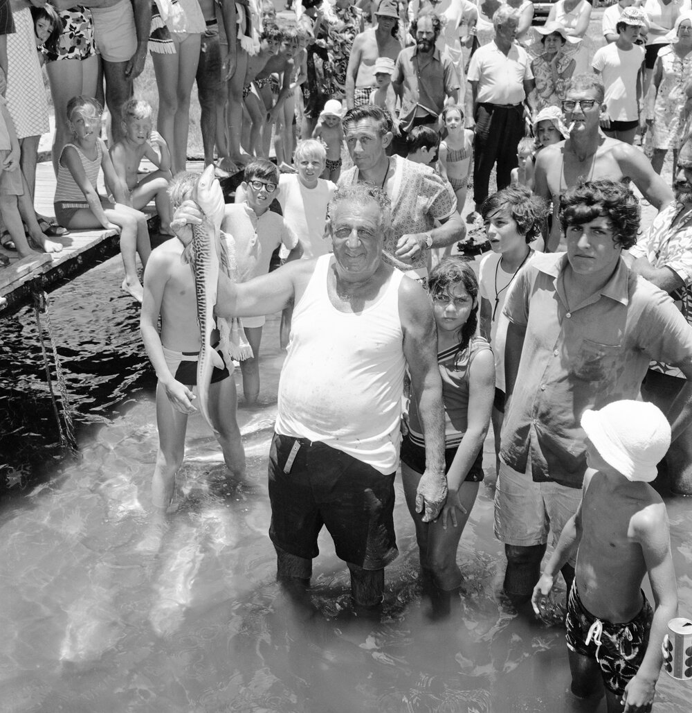 Man holding baby Tiger shark with beachgoers looking on, Noosa Riverbank, Noosaville, 1971