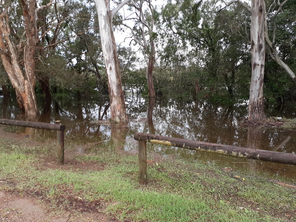 Flooding, Lake Weyba Drive, Noosaville, 26 February 2022