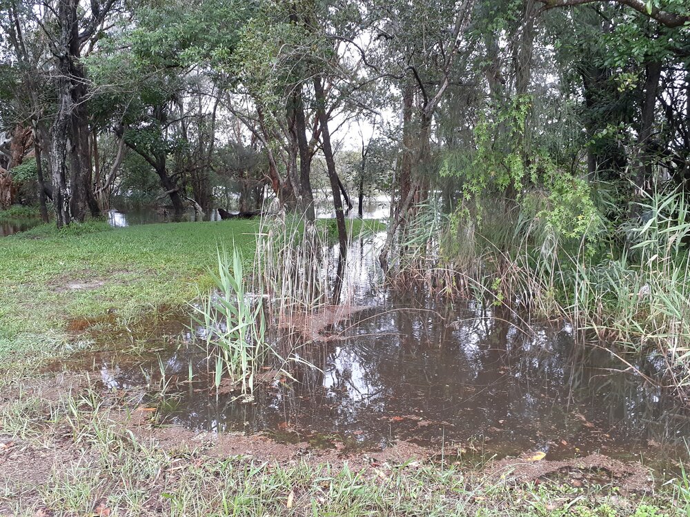Flooding, Lake Weyba Drive, Noosaville, 26 February 2022