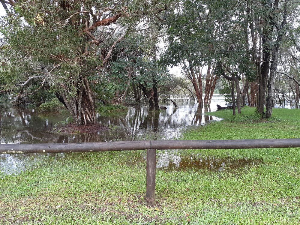 Flooding, Weyba Creek, Lake Weyba Drive, Noosaville, 26 February 2022