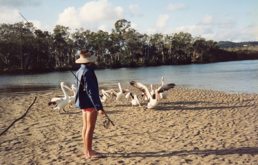 Wayne Grice and pelicans, Weyba Creek, Noosaville, 1993
