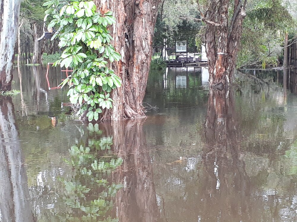 Flooding, 135 Lake Weyba Drive, Noosaville, 26 February 2022