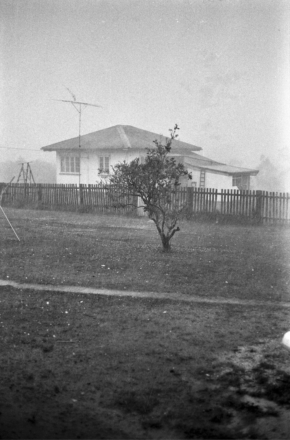 Foggy Queenslander, 1970s