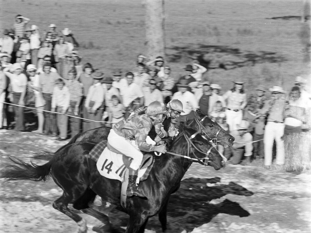 Finish, quarter horse race, Noosa Rodeo, Weyba Ranch, Noosaville, 10 June 1973