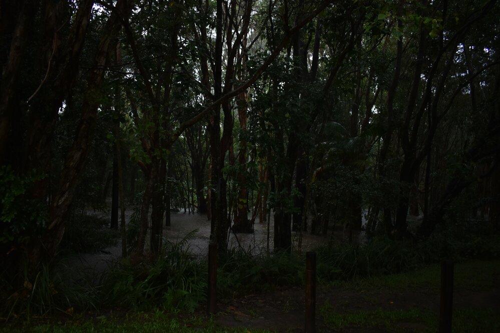 Flooding, Wallace Park, Noosaville, 26 February 2022