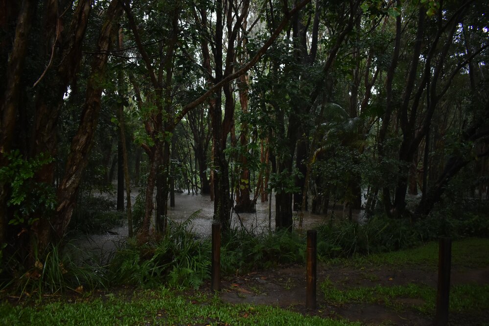 Flooding, Wallace Park, Noosaville, 26 February 2022